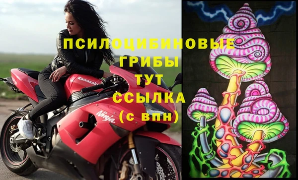 герыч Алексин