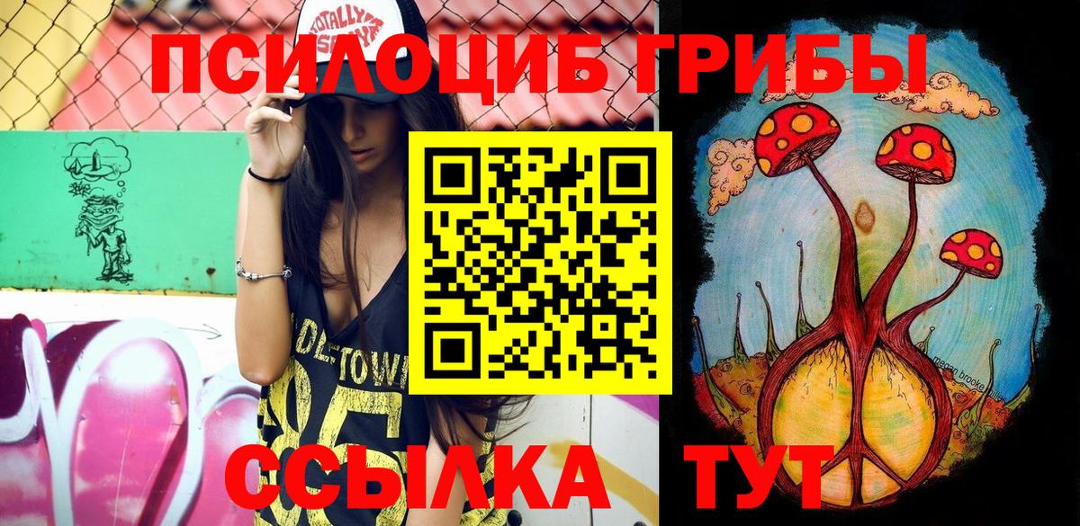 где купить наркоту  Галлюциногенные грибы MAGIC MUSHROOMS  Вход с VPN  Котовск 